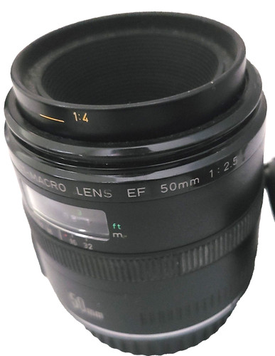 Canon 50mm 5 obiettivo - canon,